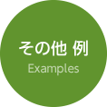 その他 例